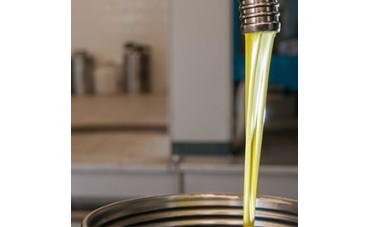 Extraction de l‘huile d’olive chez AGROMED