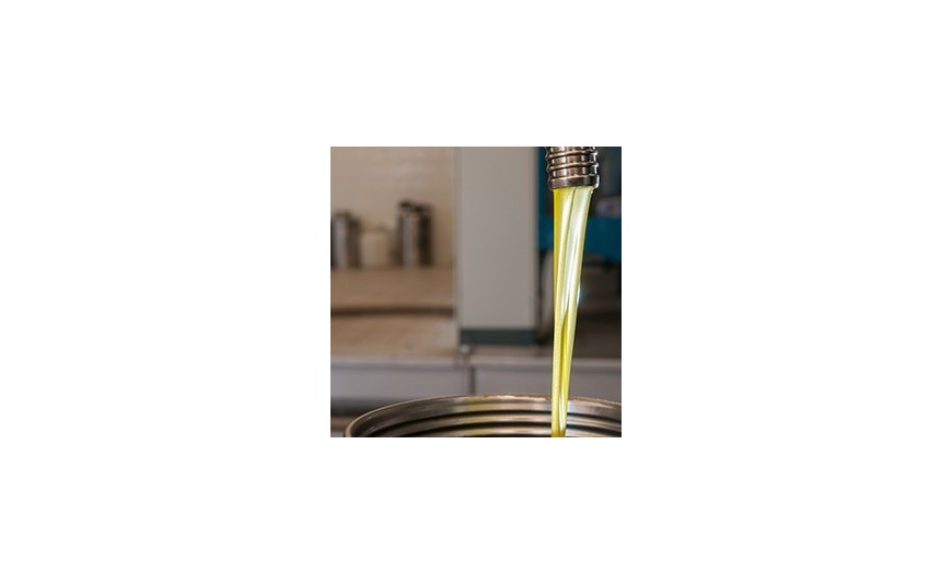 Extraction de l‘huile d’olive chez AGROMED